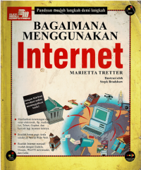 Bagaimana Menggunakan Internet